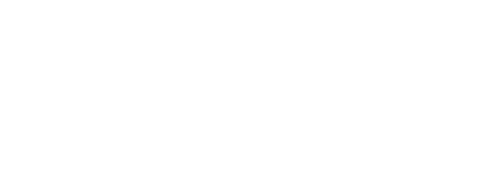 DEX logo